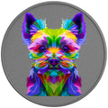 Colorful Yorkshire Terrier