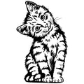 CUTE PEEKING CAT