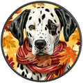 DALMATION FALL PEARL  WHITE CARBON FIBER TIRE COVER