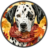 DALMATION FALL BLACK CARBON FIBER TIRE COVER