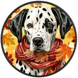 DALMATION FALL BLACK TIRE COVER