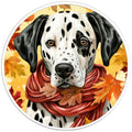 DALMATION FALL BLACK TIRE COVER