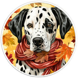 DALMATION FALL PEARL  WHITE CARBON FIBER TIRE COVER