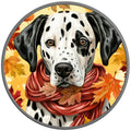 Dalmation Fall