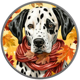 DALMATION FALL SILVER CARBON FIBER TIRE COVER