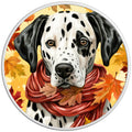 DALMATION FALL WHITE TIRE COVER