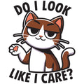 DO I LOOK LIKE I CARE