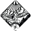EAGLE SCENE