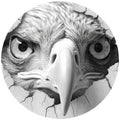 EAGLE STARE