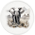 ELEPHANT PEARL  WHITE CARBON FIBER TIRE COVER