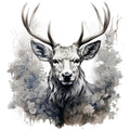 ELK DEER
