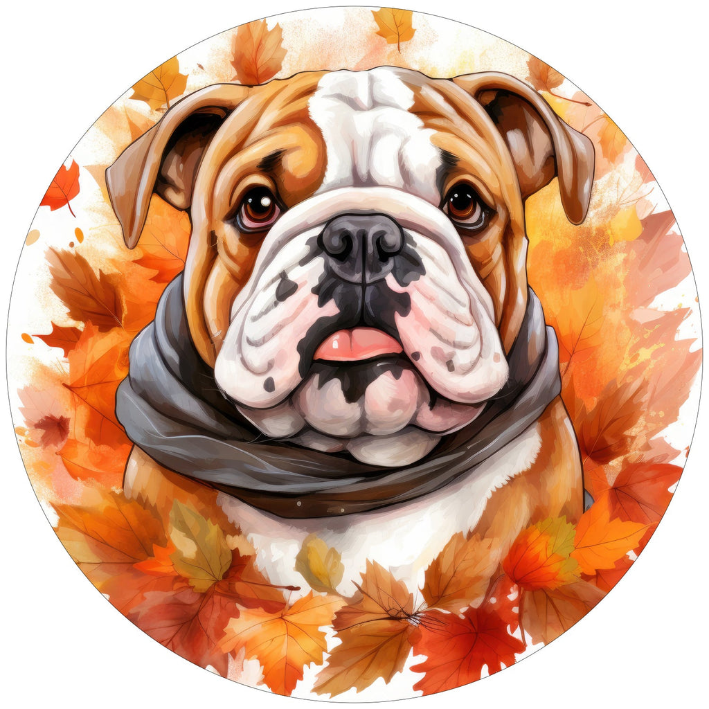 ENGLISH BULLDOG FALL