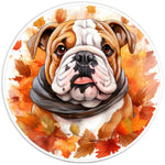 ENGLISH BULLDOG FALL PEARL  WHITE CARBON FIBER TIRE COVER