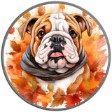 ENGLISH BULLDOG FALL SILVER CARBON FIBER TIRE COVER