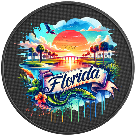 FLORIDA PEARL  WHITE CARBON FIBER TIRE COVER