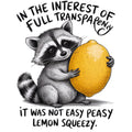 FUNNY RACCOON