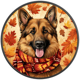 GERMAN SHEPHERD AUTUMN BLACK CARBON FIBER TIRE COVER