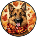 German Shepherd Autumn