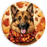 GERMAN SHEPHERD AUTUMN PEARL  WHITE CARBON FIBER TIRE COVER