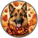 GERMAN SHEPHERD AUTUMN SILVER CARBON FIBER TIRE COVER