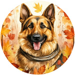 GERMAN SHEPHERD FALL