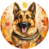 GERMAN SHEPHERD FALL