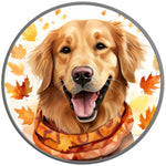 GOLDEN RETRIEVER FALL SILVER CARBON FIBER TIRE COVER