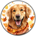 Golden Retriever Fall
