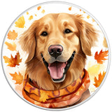 GOLDEN RETRIEVER FALL