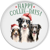 HAPPY COLLIE DAYS