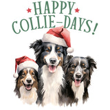 HAPPY COLLIE DAYS