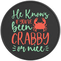 HE KNOWS IF YOU VE BEEN CRABBY OR NICE PEARL  WHITE CARBON FIBER TIRE COVER