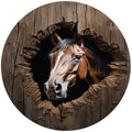 HORSE WALL BREAK