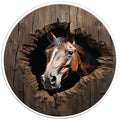 HORSE WALL BREAK PEARL  WHITE CARBON FIBER TIRE COVER