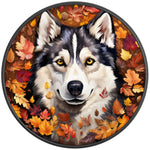 HUSKY AUTUMN BLACK CARBON FIBER TIRE COVER