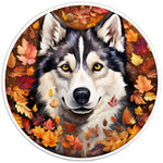 HUSKY AUTUMN PEARL  WHITE CARBON FIBER TIRE COVER