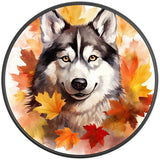 HUSKY FALL BLACK CARBON FIBER TIRE COVER