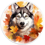 HUSKY FALL PEARL  WHITE CARBON FIBER TIRE COVER