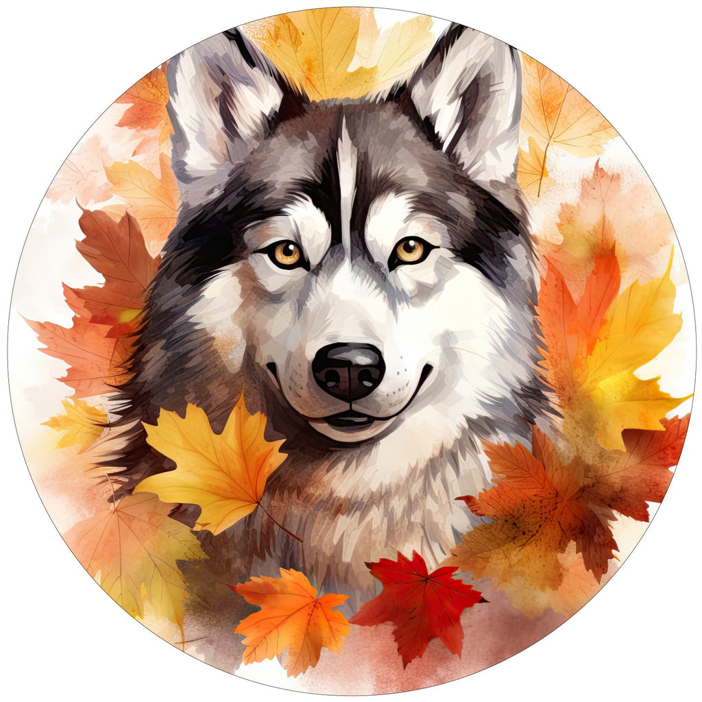 HUSKY FALL