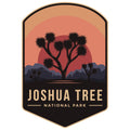 JOSHUA TREE