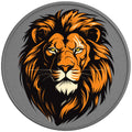 LION SILVER CARBON FIBER TIRE COVER