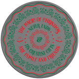 MAGIC OF CHRISTMAS SILVER CARBON FIBER TIRE COVER