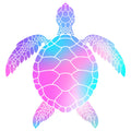 MERMAID COLORED SEA TURTLE