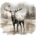 MOOSE