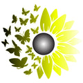 MYSTICAL BUTTERFLY SUNFLOWER