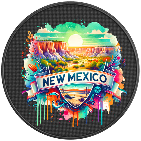 NEW MEXICO BLACK CARBON FIBER TIRE COVER