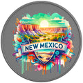NEW MEXICO SILVER CARBON FIBER TIRE COVER