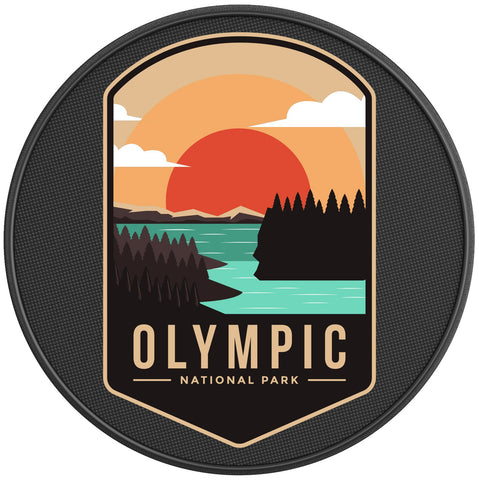 OLYMPIC NATIONAL PARK BLACK CARBON FIBER TIRE COVER