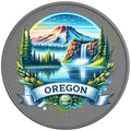 OREGON SILVER CARBON FIBER TIRE COVER