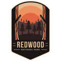REDWOOD